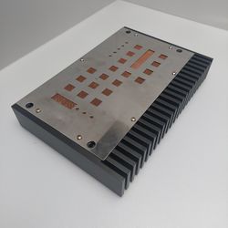 Xtant 121M Mono Amplifier 250-Watt RMS Sub-Woofer Amplifier 1027