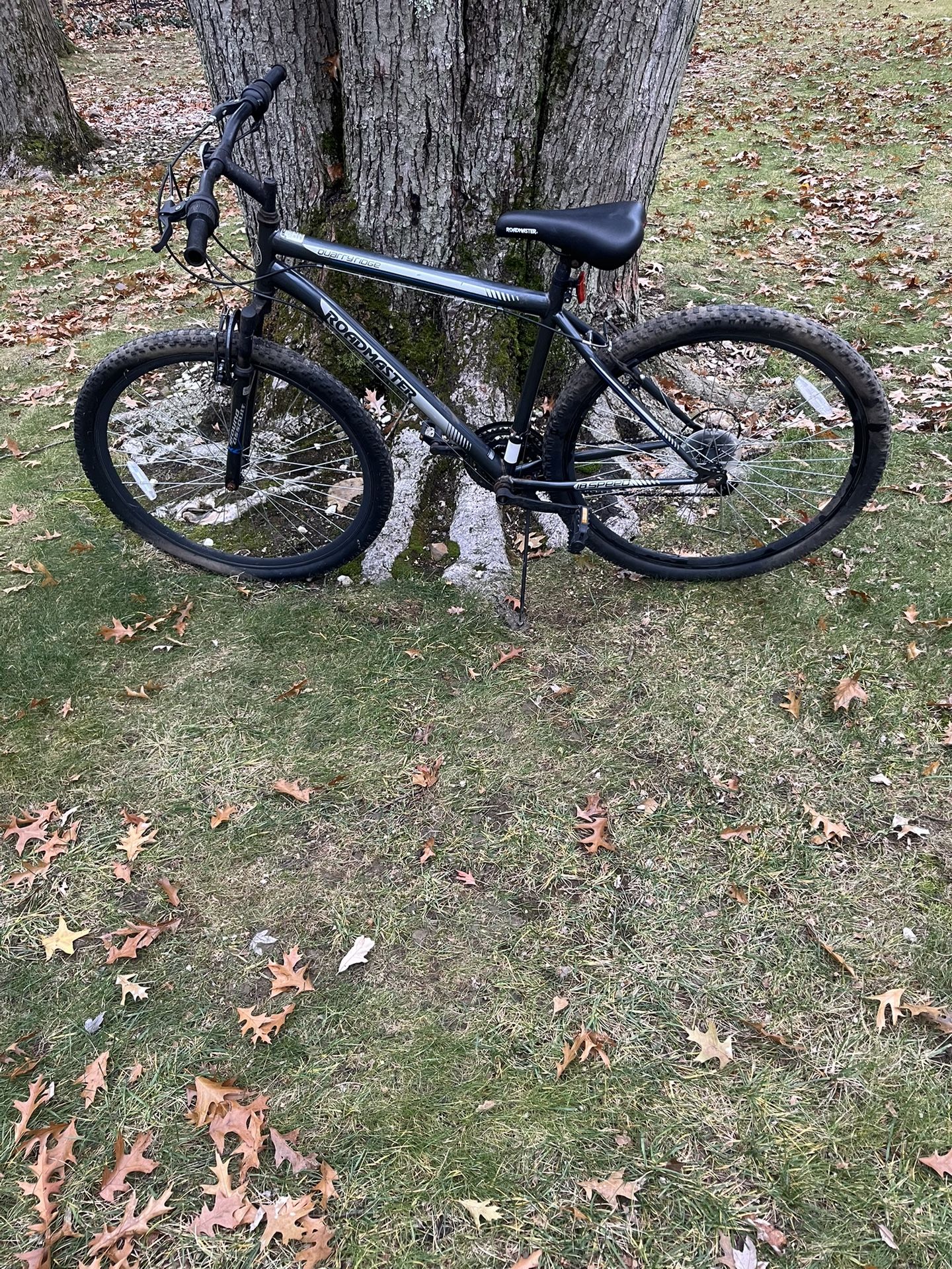 29” Mountain Bike