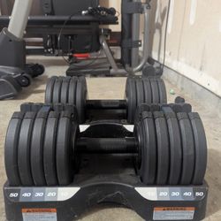 Pro Form Adjustable Dumbbells Pair 10-50Lbs 