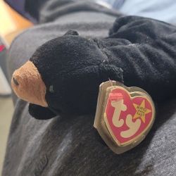 ORIGINAL TY BEANIE BABY, BLACKIE (RARE)