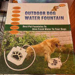 Dog Water Fountain