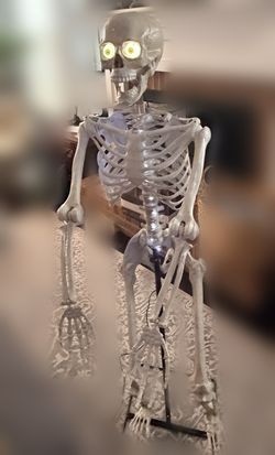 Talks in Your Voice! Life-Size Halloween Skeleton w/ Mic, Motion Activated