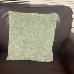 Sage Green Throw Pillow 