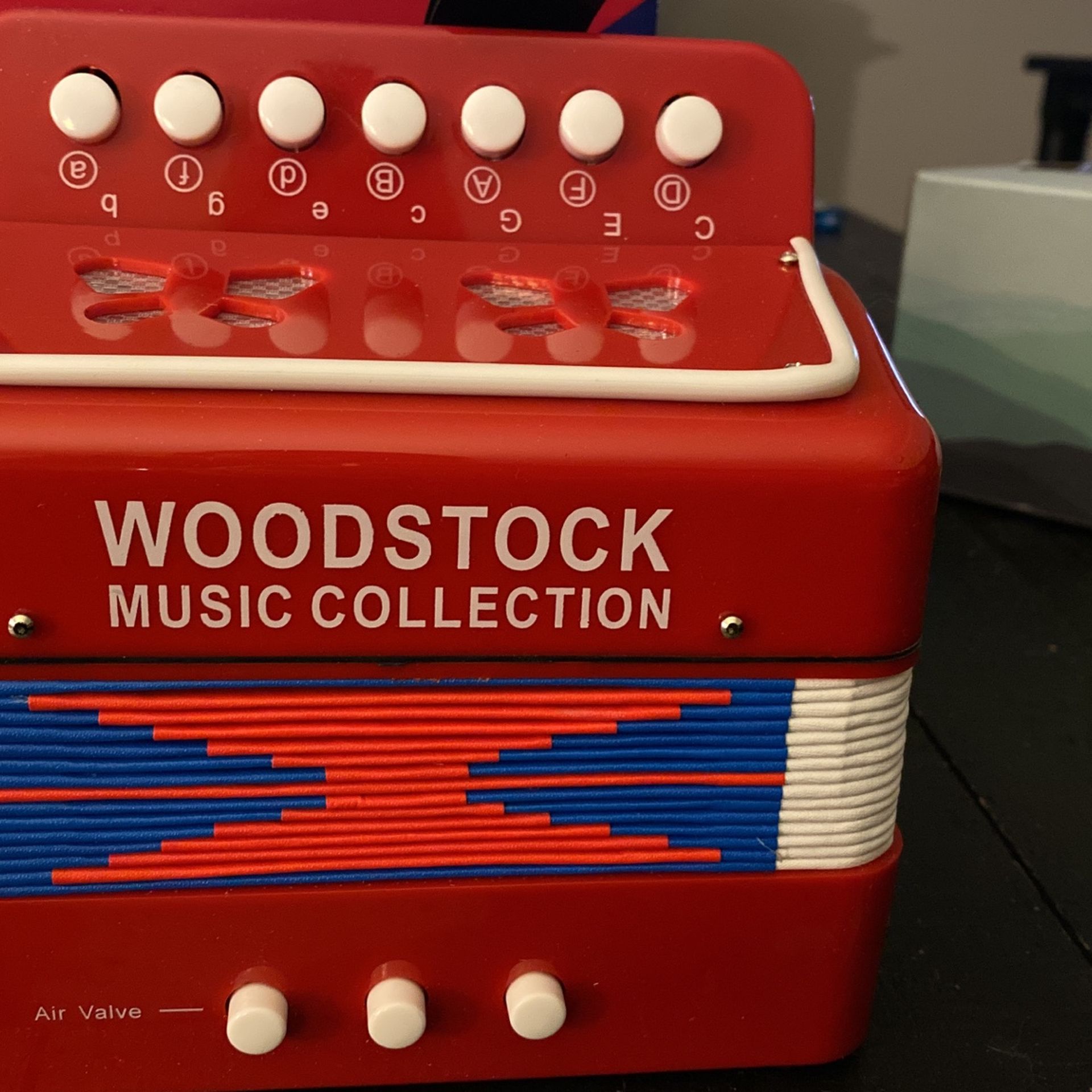 Woodstock Kids Accordion New