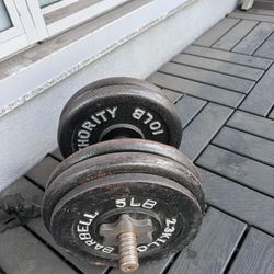 50 Lbs Dumbbell
