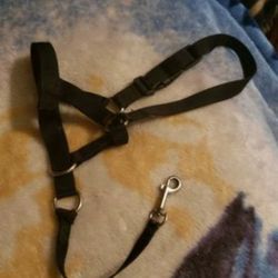 Gentle Dog Lead & Dog Harness