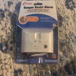 Carbon Monoxide Alarm Plug In