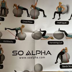 SoAlpha Exercise Ball Bundle Never Used