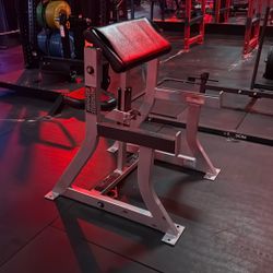 Hammer Strength Preacher Curl