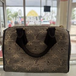 Mini Lv Purse