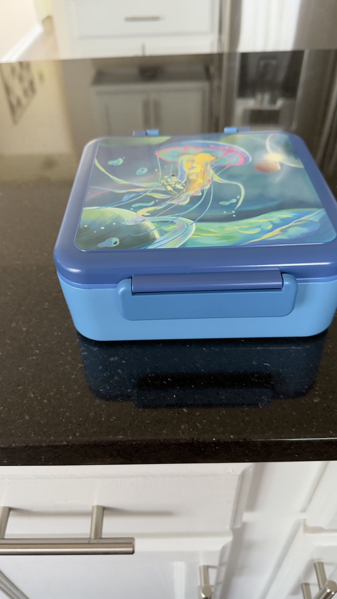 2 Bento Lunch Boxes