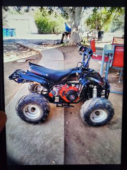 Mini quad (new predator 224 non-hemi)600$