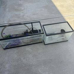 Fish Tanks & Accessories