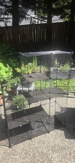 Kitten/Cat cage/maze
