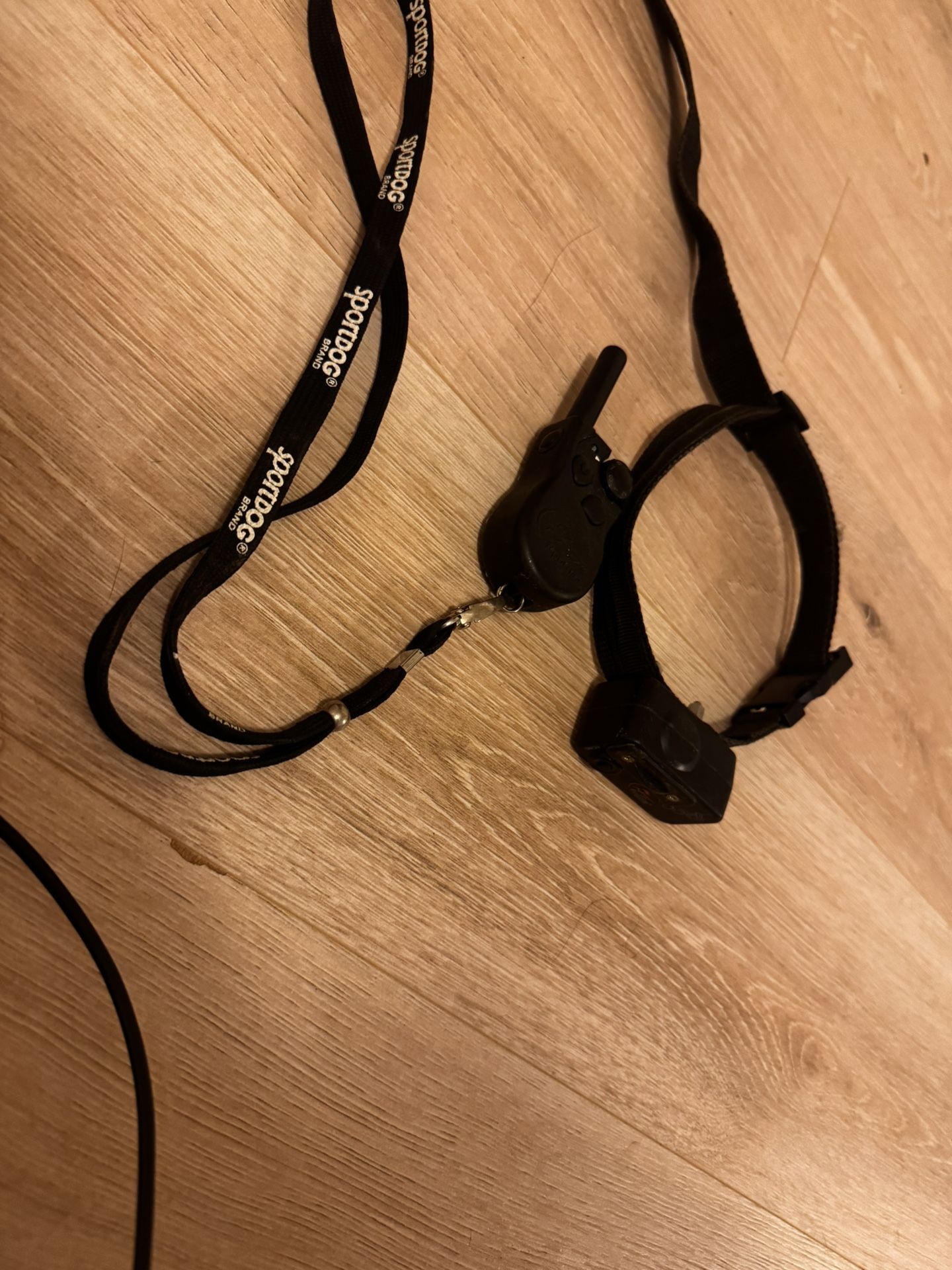 E Collar