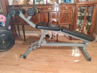 Life Fitness sit up bench
