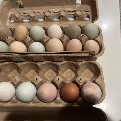 Huevos De Rancho Eggs Farm Fresh