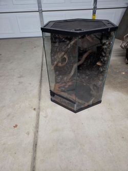 Reptile cage