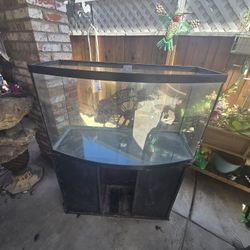 40 To 50 Gallon Curved Front Aquarium With Stand