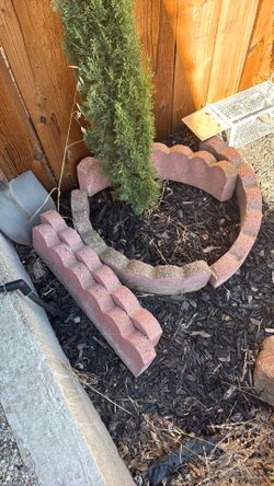 Free tree rings and stone