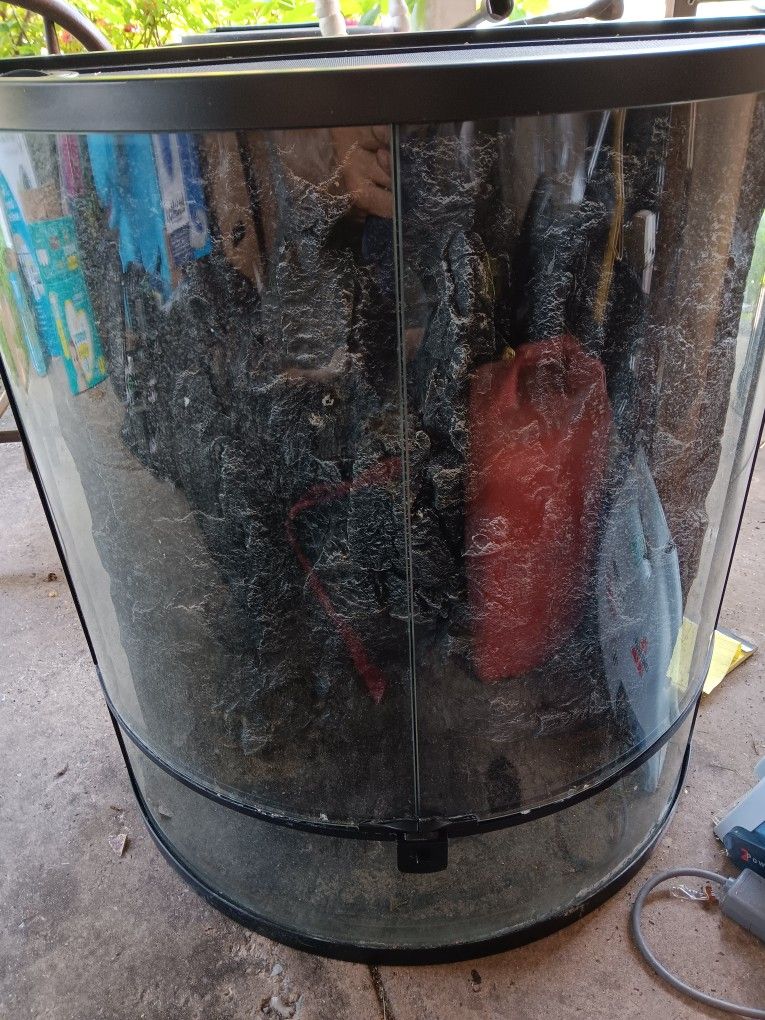 Lizard aquarium tutorium.