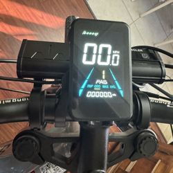 Electric mountain bike