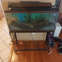 30 Gallon Fish Tank With Stand