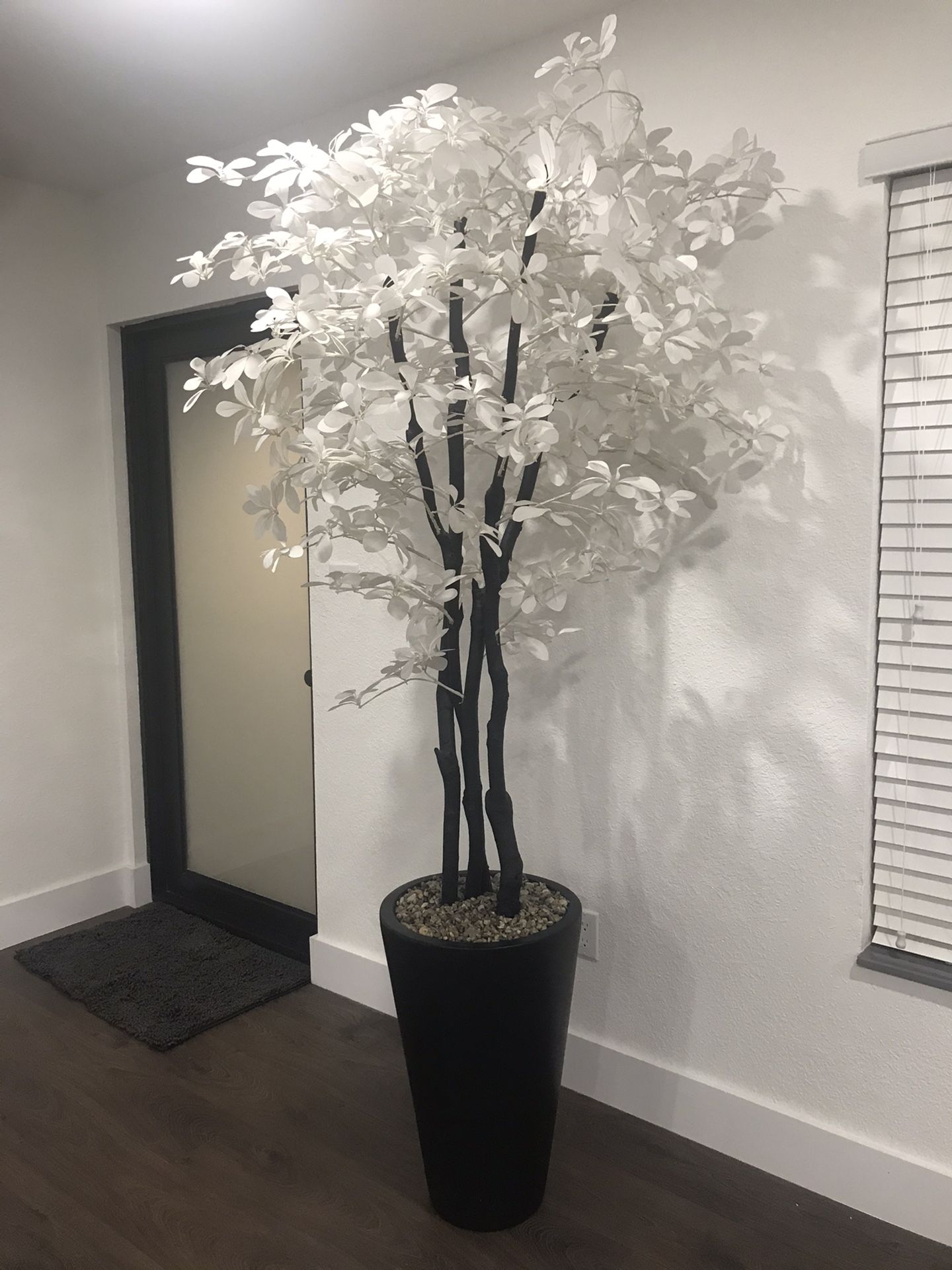 Decorative Plant