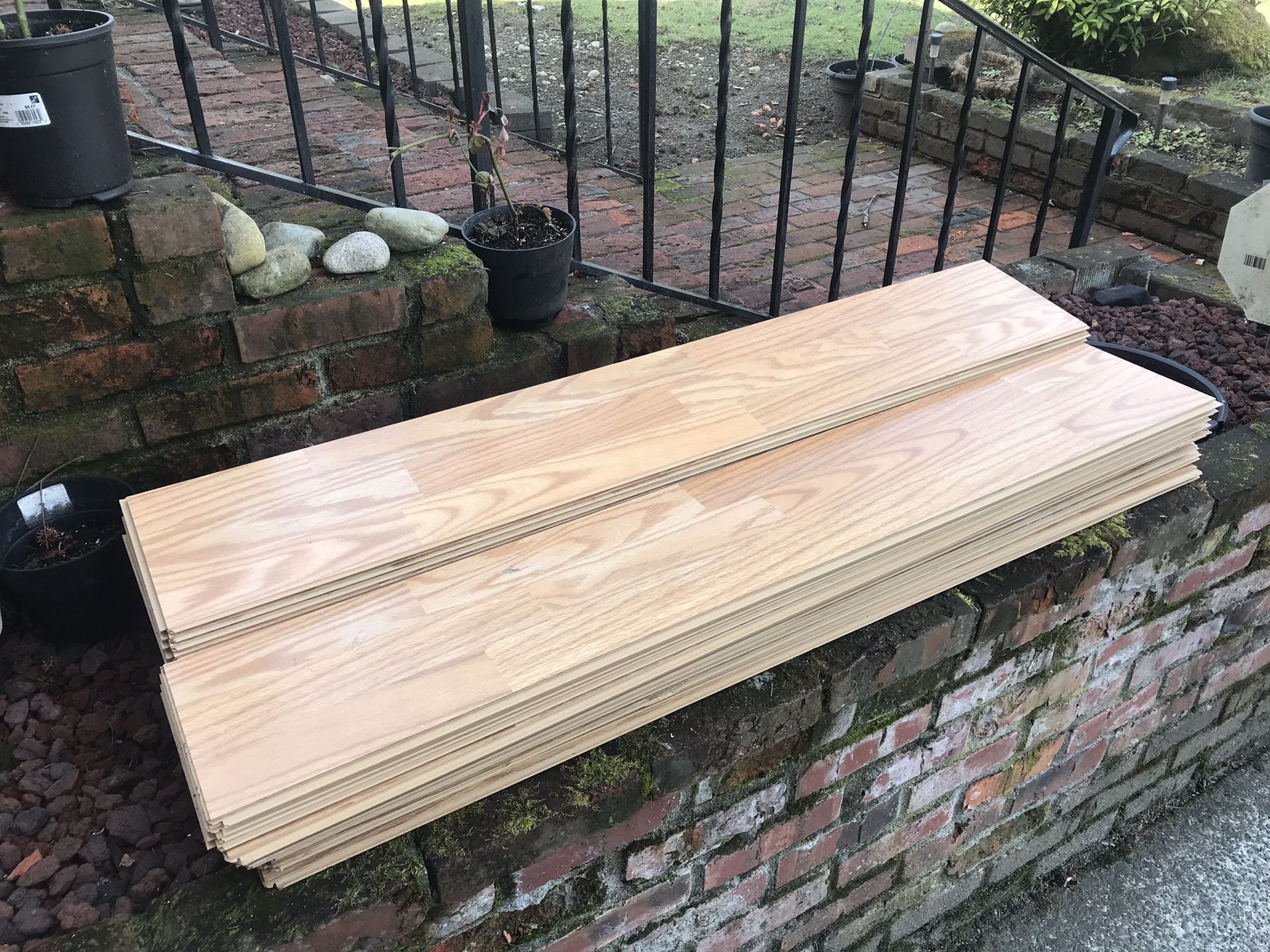 Glueless Laminate Flooring, Oak