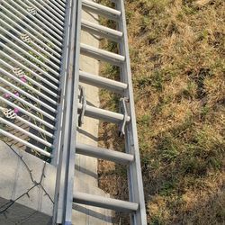 24ft  Louisville Aluminum  Extension Ladder 