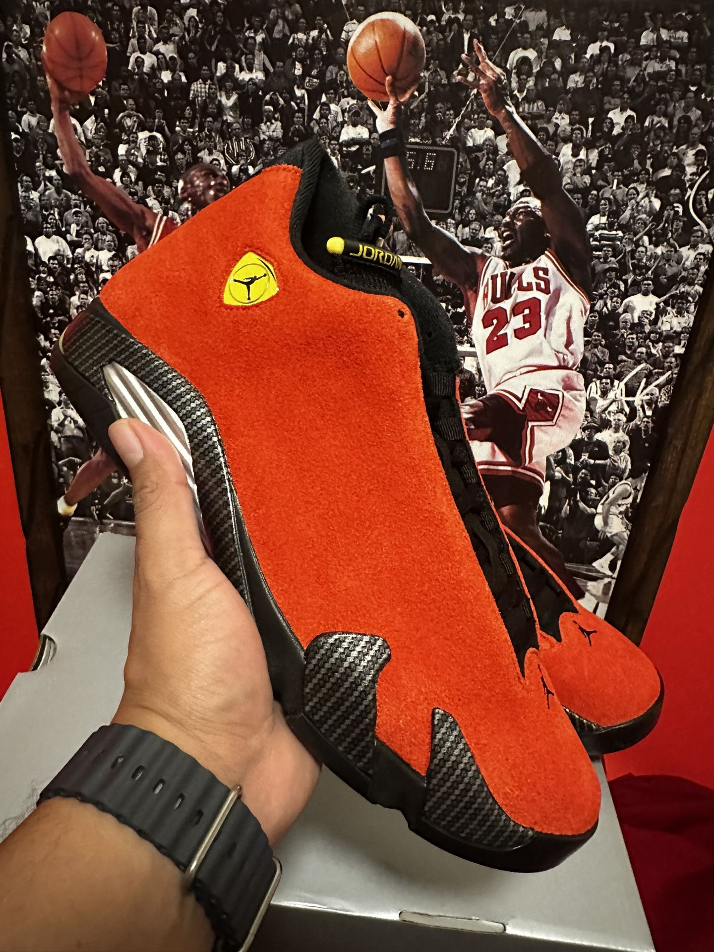 Jordan 14 Ferrari Size 11
