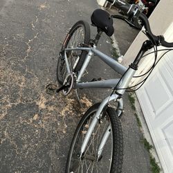 Women’s bicycle