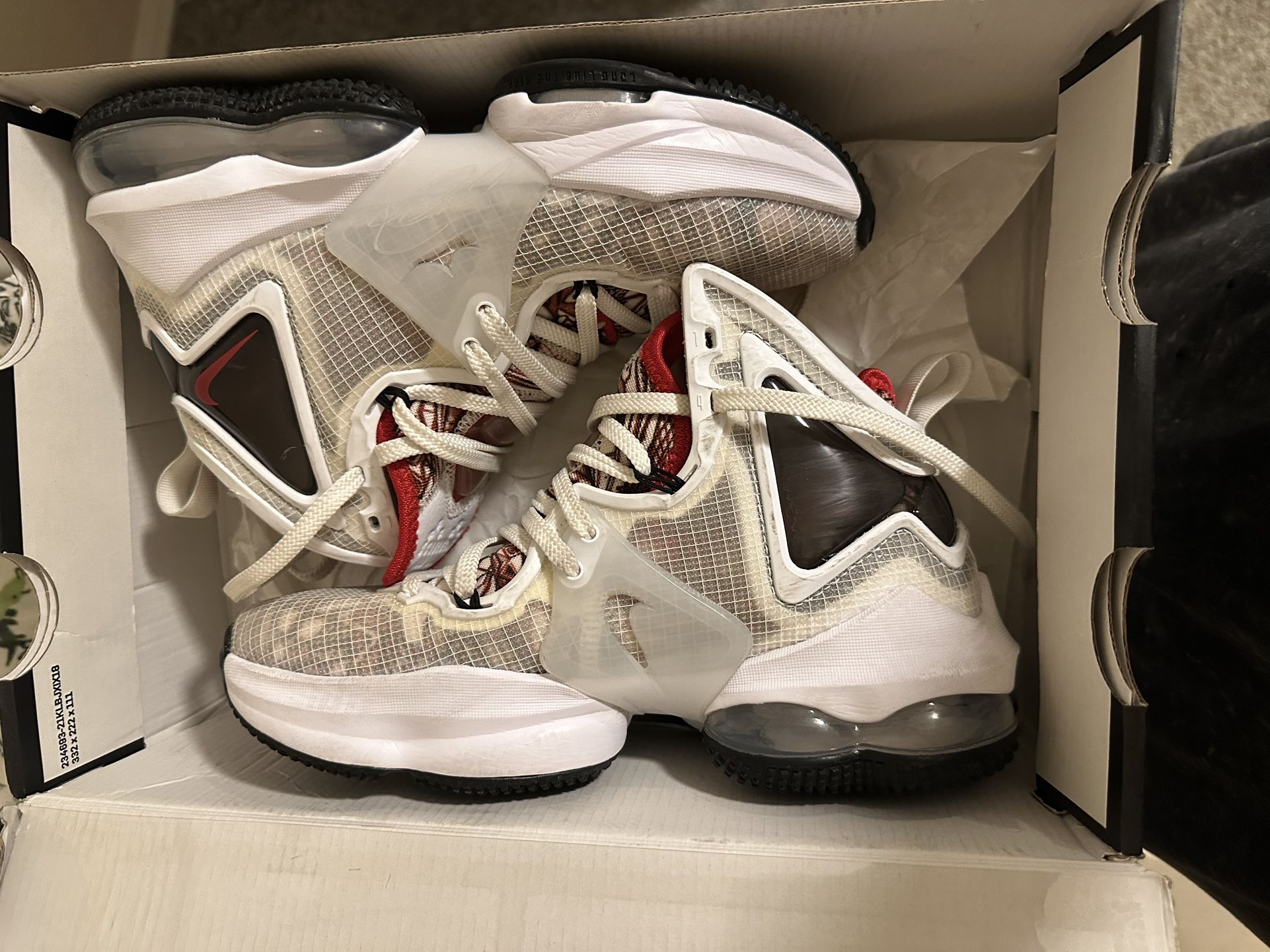 Nike LeBron