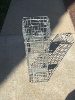 Animal Trap