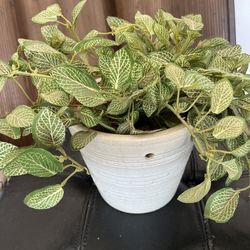 Plastic Plant And Pot