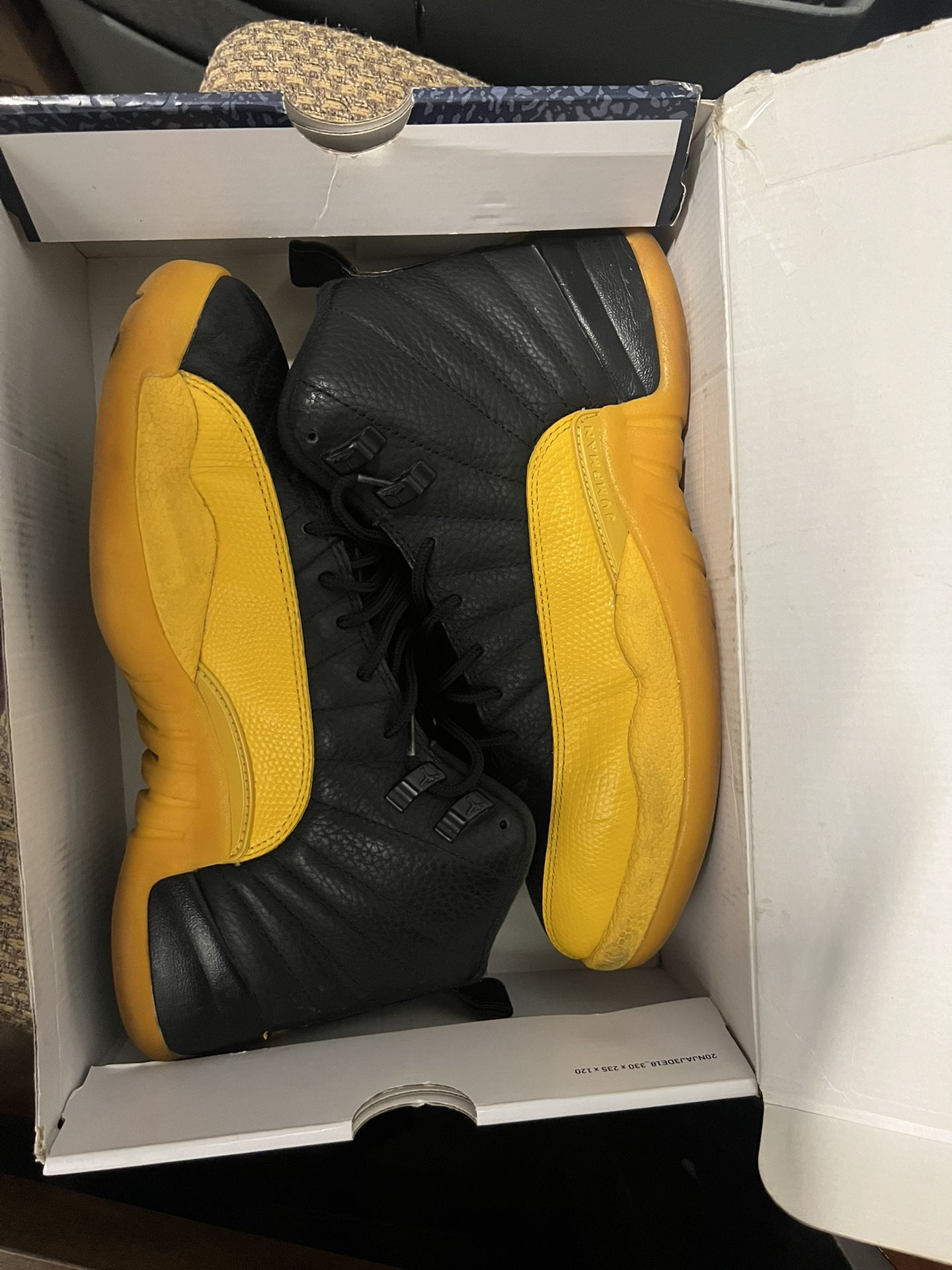 Jordan 12s