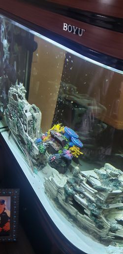 Boyu fish tank 55 gallons