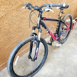 Mountain Bike Specialized 
