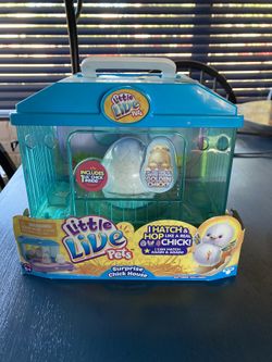 Lil’ Live Pets with Cute Lil’ Chicken House.