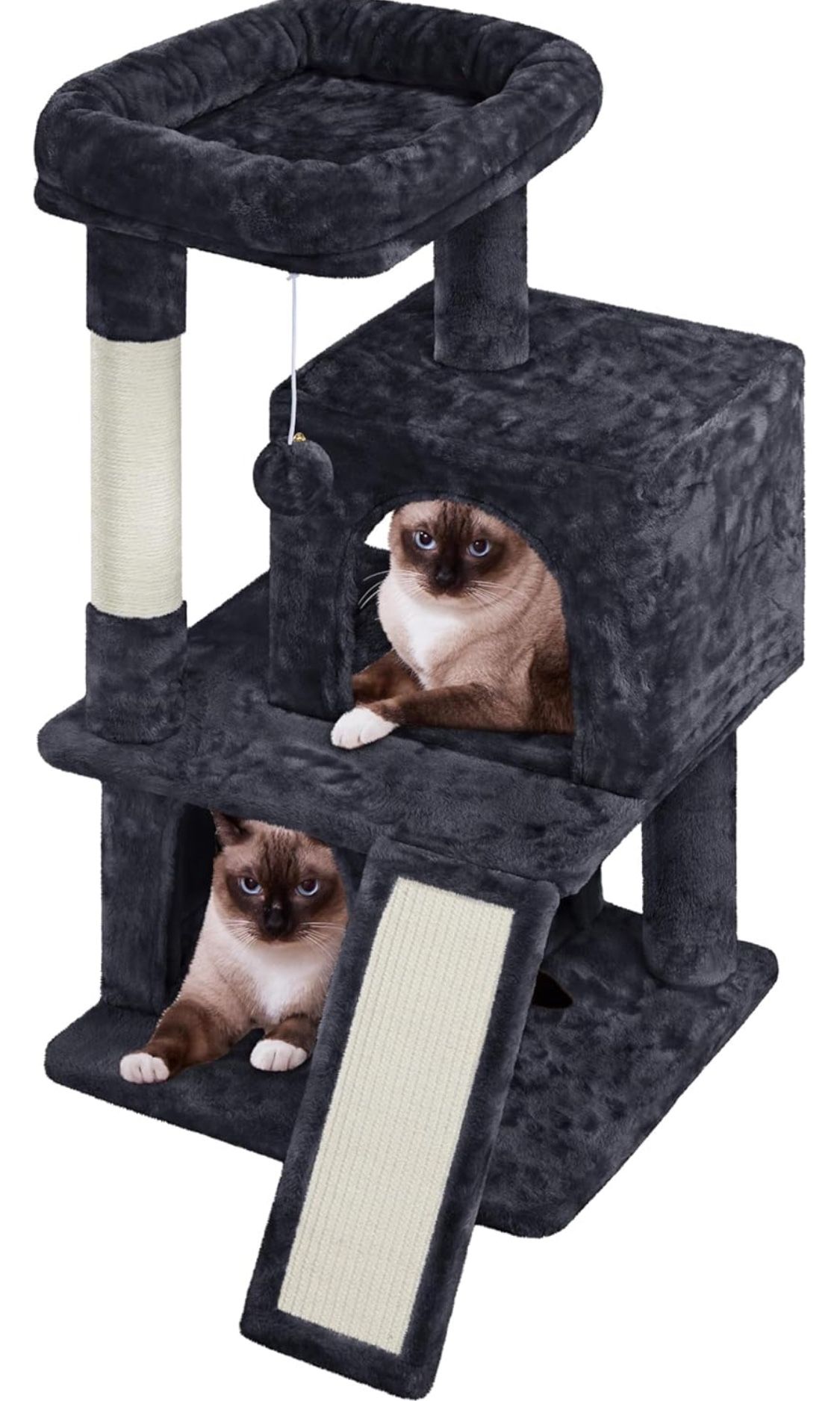 Black cat Condo 591853