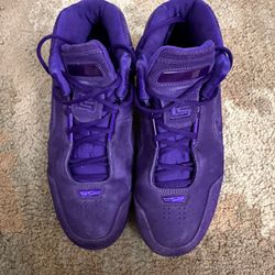 Nike LeBron