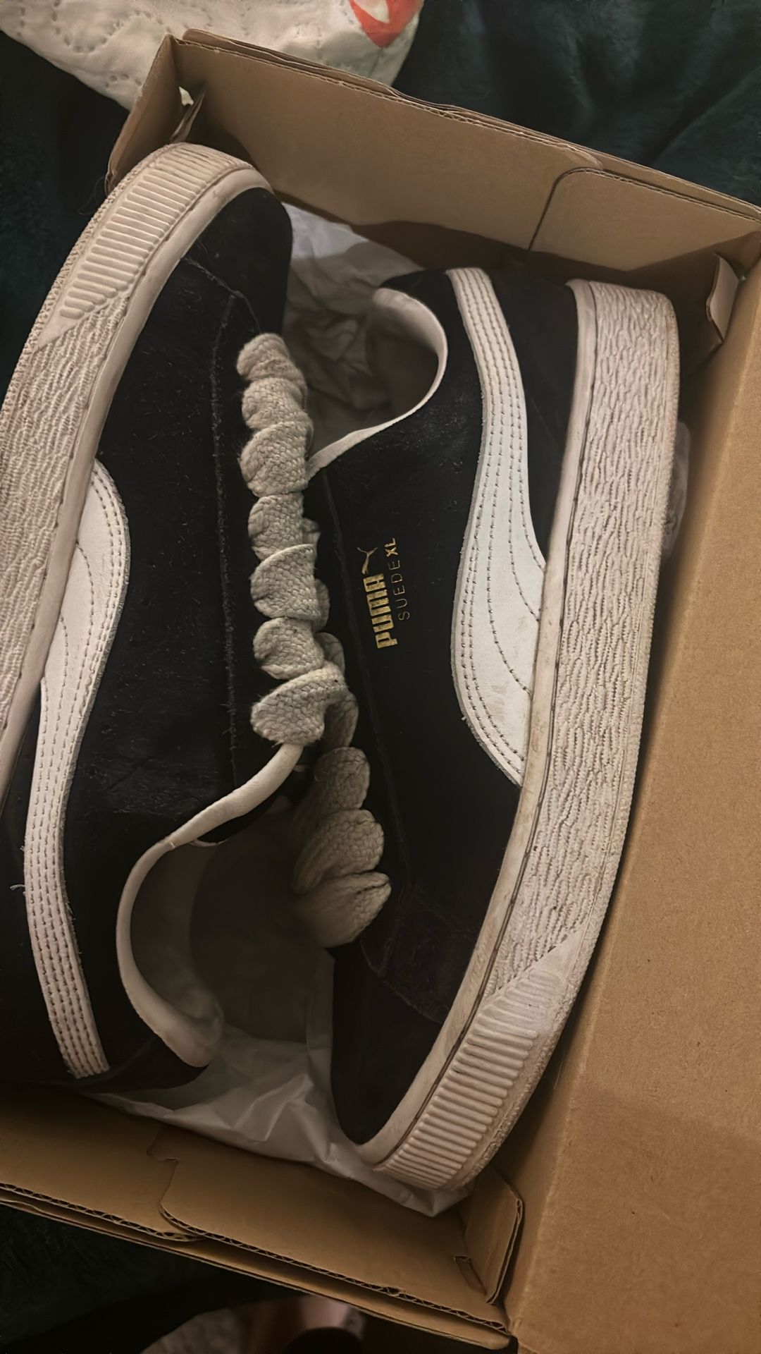 chunky pumas