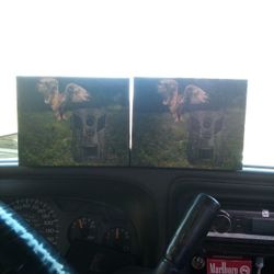 Game Camera's And Night vision.