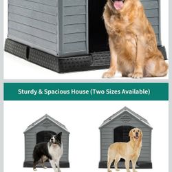 dog house