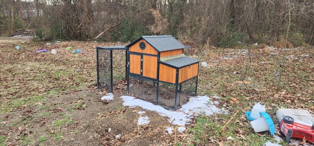Chicken coop and accessories