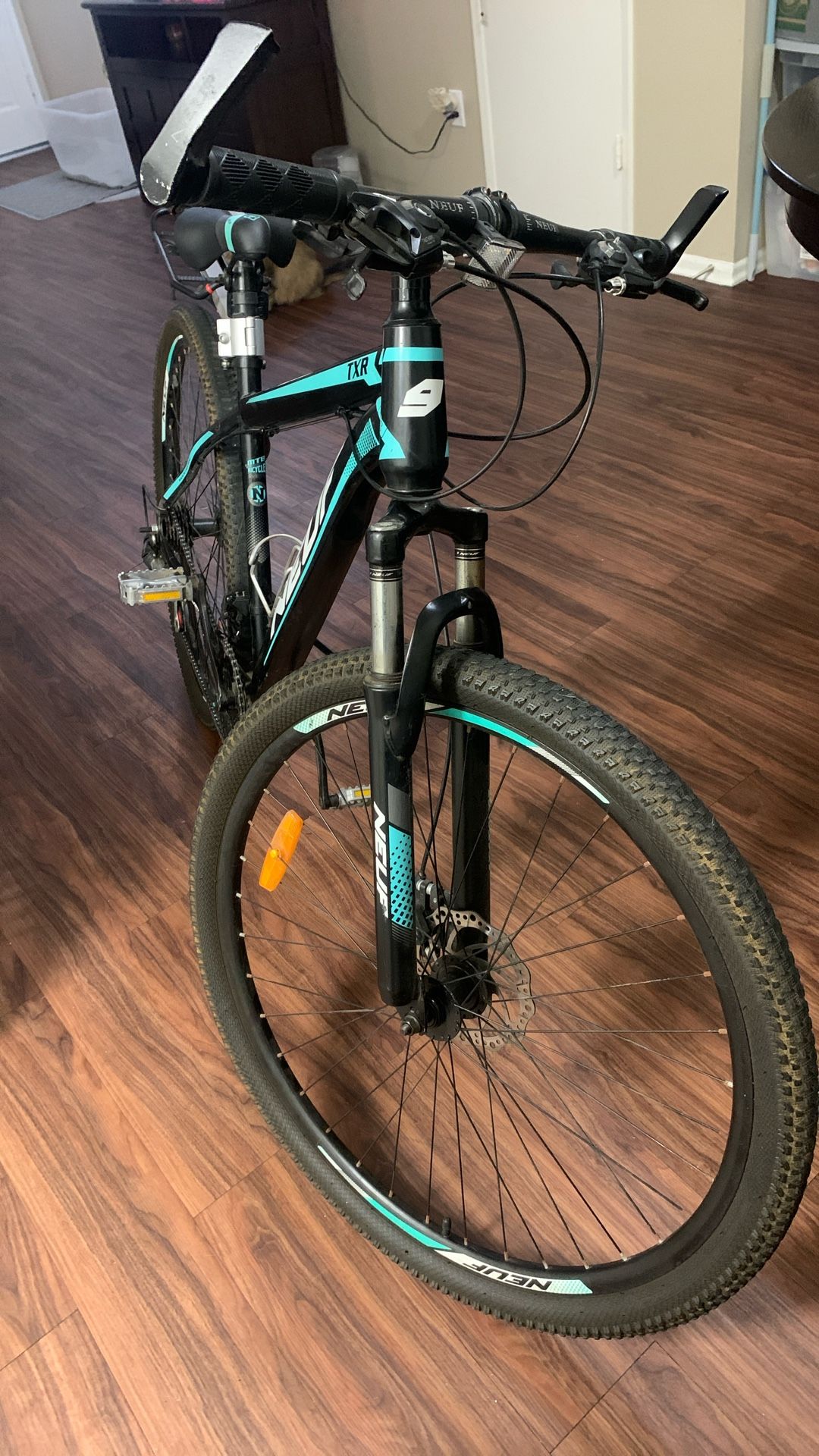 Custom Mountain Bike $450