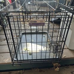 Dog Cage 