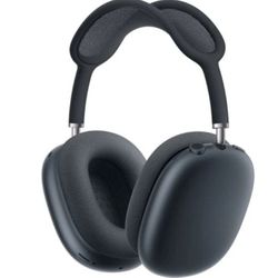 Apple Headphones 
