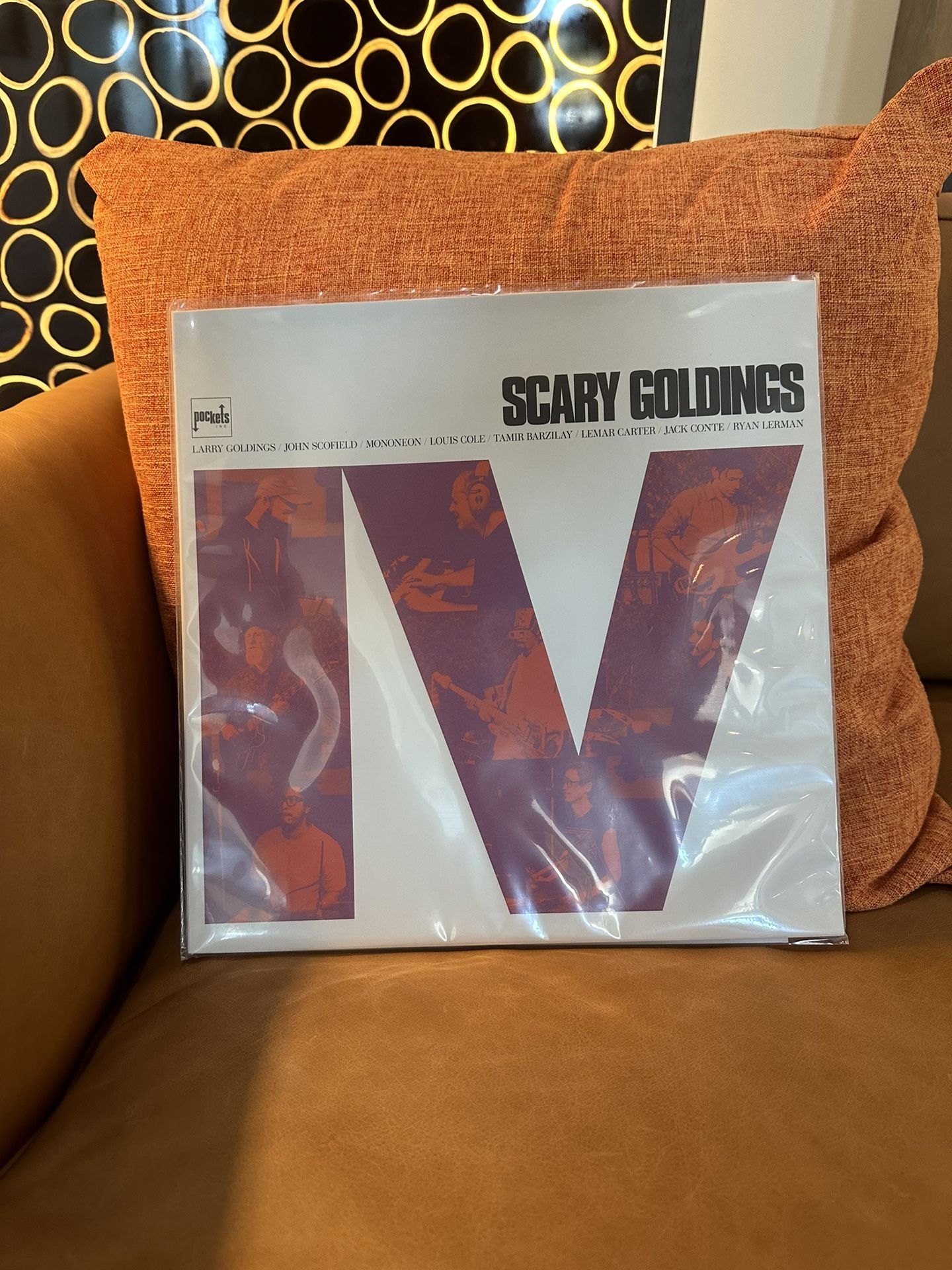 SCARY POCKETS "SCARY GOLDINGS IV" High Fidelity VINYL LP RECORD