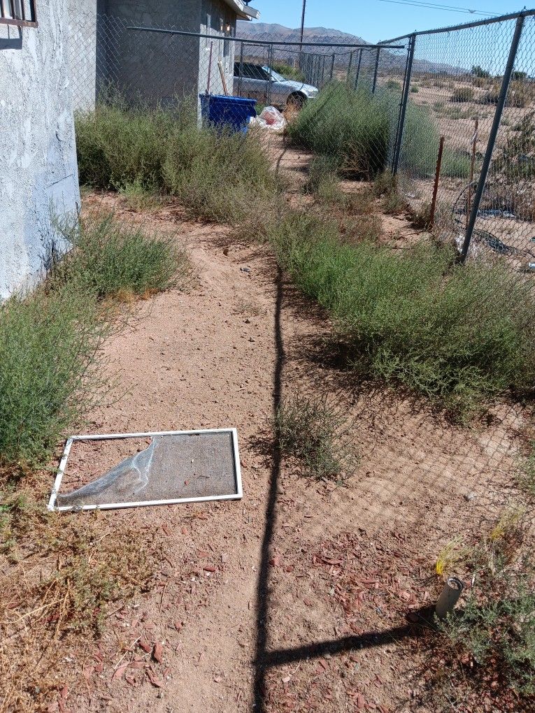 YARD CLEANUP